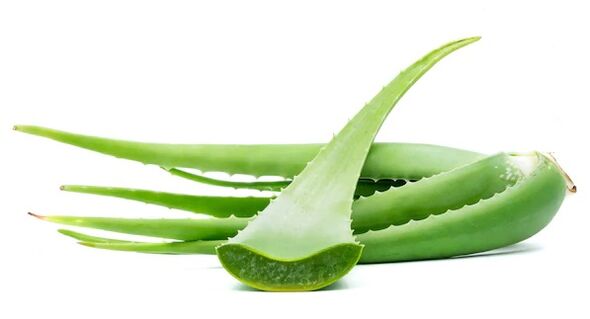 Intrenskin zawiera aloes